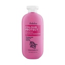 Shakebar Color Protect Shampoo – 300 ml