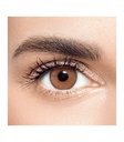 Anastasia Daily Contact Lenses